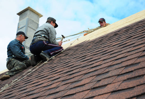 Best Local Roofing Companies  in Iowa Colony, TX